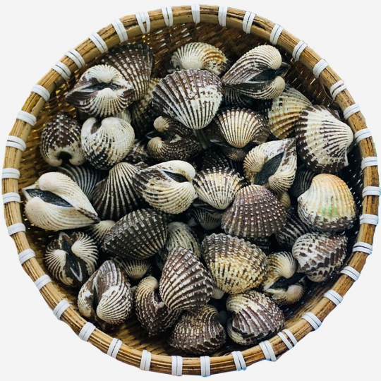 sò huyết